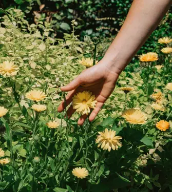 Botanic Sanctuary Antwerp Botanic Juni 25820