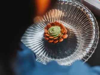 Cuisine Two Star Michelin Restaurant In Botanic Sanctuary Antwerp 4