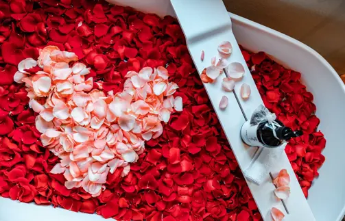 5 Star Superior Romantic Getaway With Breakfast Experience In Botanic Sanctuary Antwerp 2 1