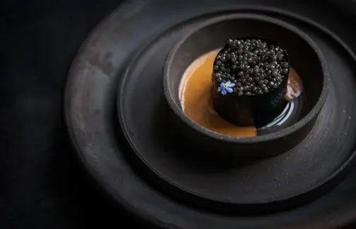 Luxurious Stay In The Heart Of Antwerp Including A 3 Hour Hertog Jan Culinary Adventure In Botanic Sanctuary Antwerp 3