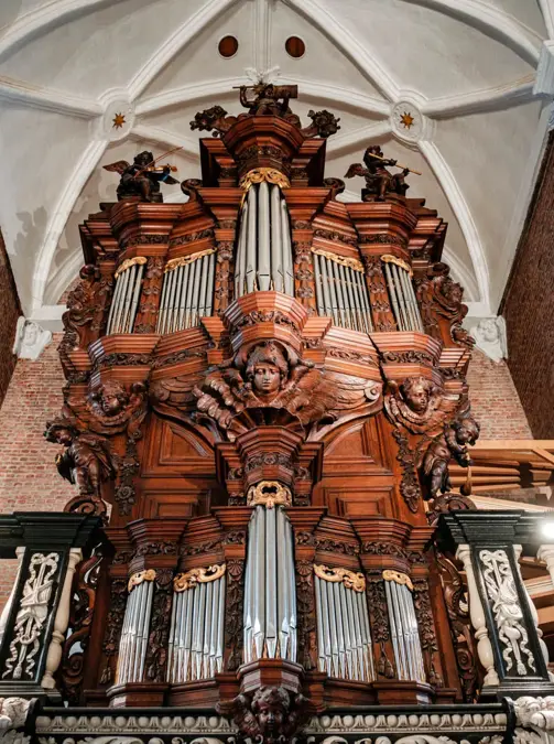 History Of Botanic Sanctuary Antwerp Monastic Roots 5