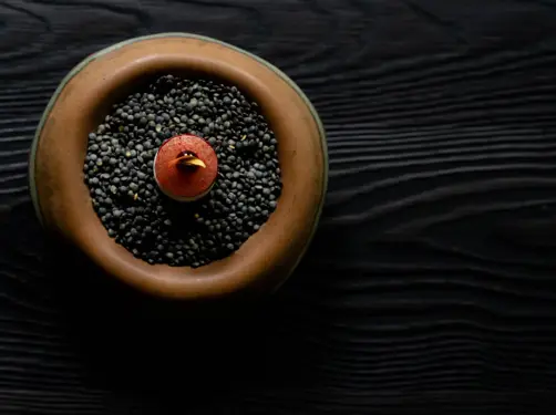 Michelin Starred Cuisine Of Jacob Jan Boerma And Thomas Diepersloot At Botanic Sanctuary Antwerp 7