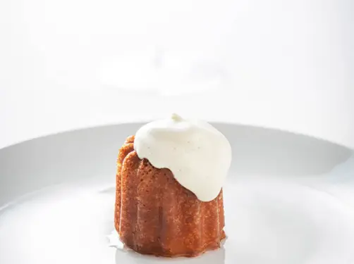 Bar Bulot By Gert De Mangeleer And Joachim Boudens In Botanic Sanctuary Antwerp 4