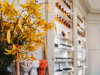 Natures Healing Treasures From Saint Charles Apothecary In Botanic Sanctuary Antwerp 3