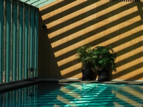 Botanic Sanctuary Antwerp Spa Post 08.1 IG Pool Seamless Swipe